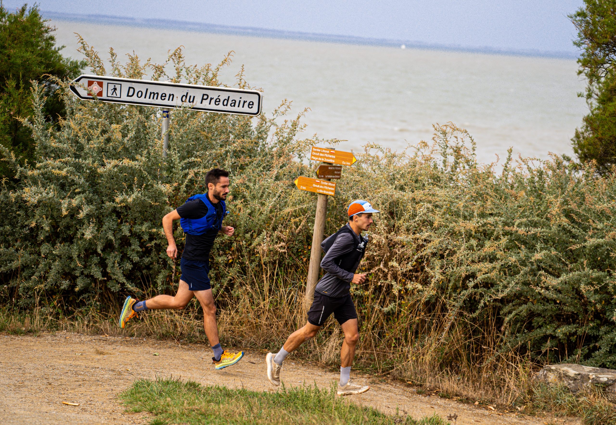 Le 50 miles 