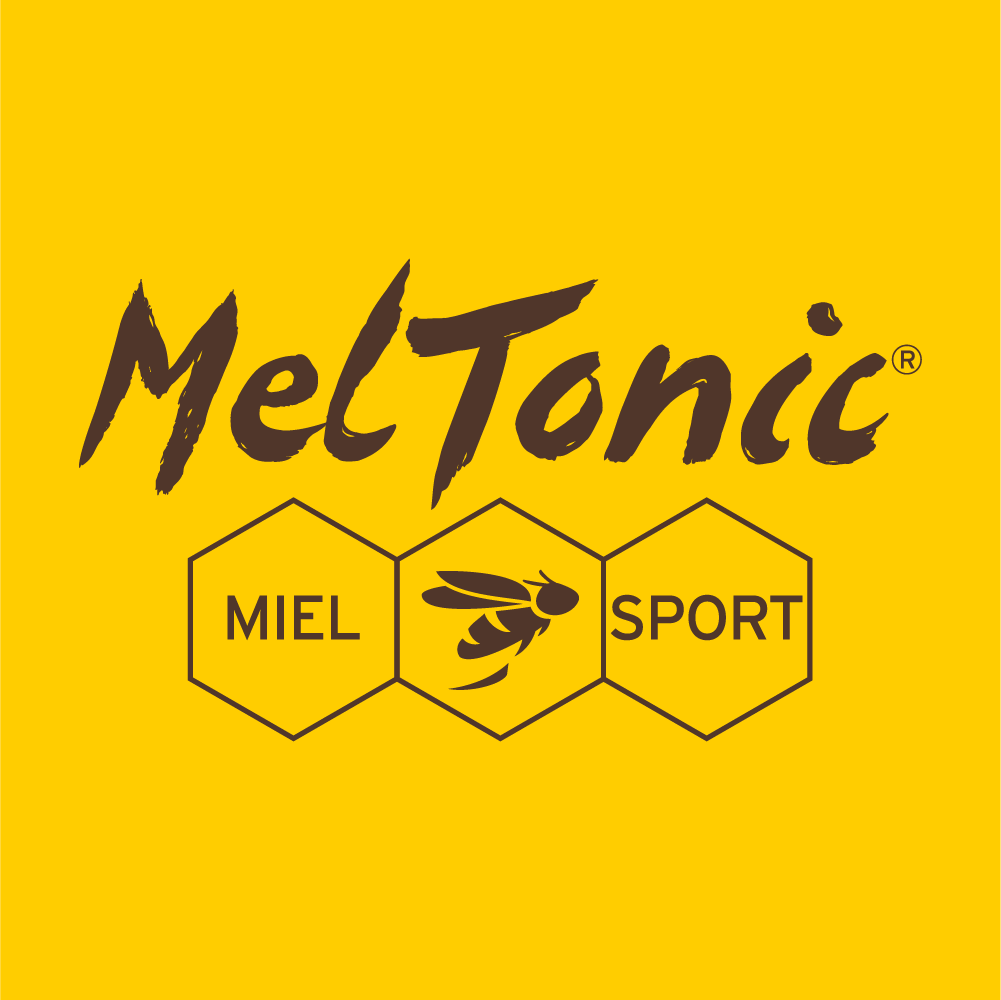 logo meltonic